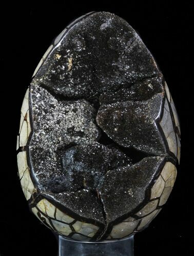 Septarian Dragon Egg Geode - Black Crystals #88332